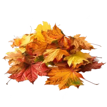 a pile of colorful autumn leaves