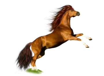 a brown horse is jumping in the air