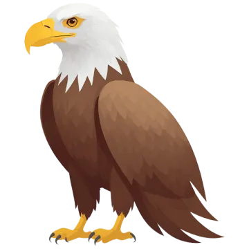 an eagle on a white background