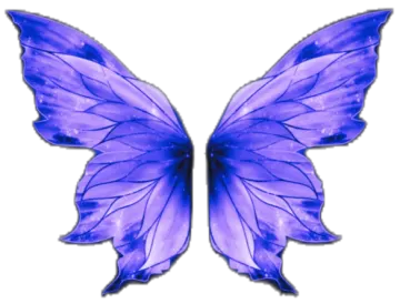 a purple butterfly with blue wings