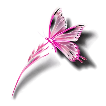a pink butterfly on a white background