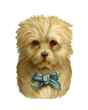 a drawing of a dog with a blue bow