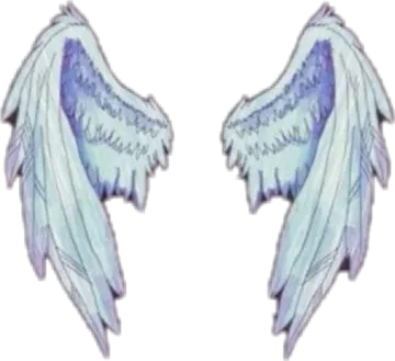 a pair of blue angel wings