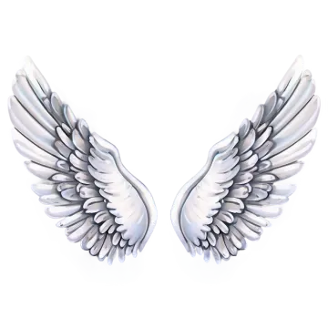 two white wings on a white background