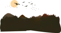 a bird flying in the sky over a forest