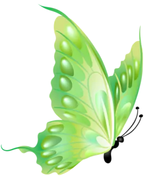 a green butterfly on white background