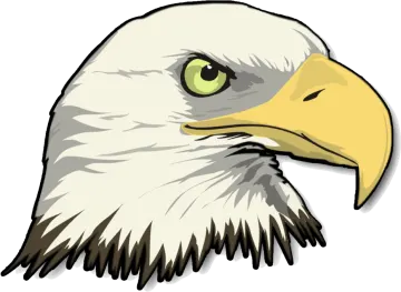 an eagle head with green eyes