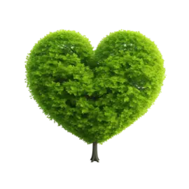 a tree in the shape of a heart