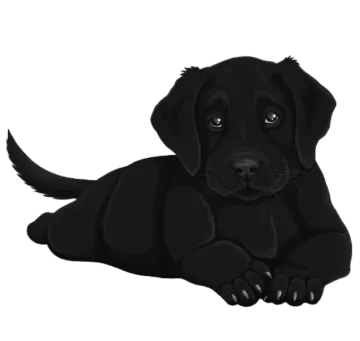 a black dog laying down on the ground