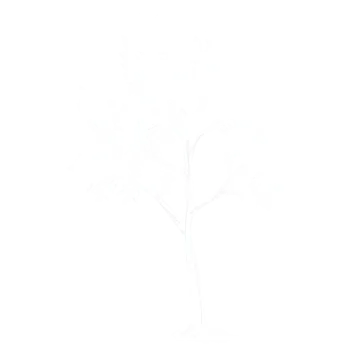a drawing of a tree on a white background
