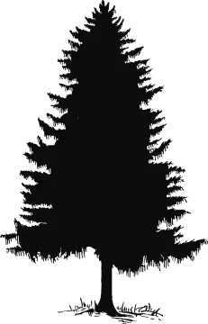 a black and white silhouette of a tree