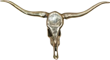 a bull skull on a white background