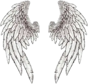 a pair of white wings