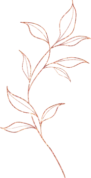 a drawing of a branch with leaves