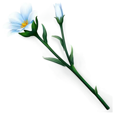 a blue flower on a white background