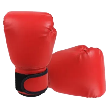 a pair of boxing gloves