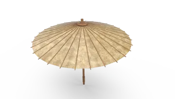 a close up of an umbrella on a white background