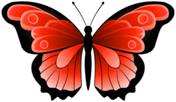 a red butterfly on a white background