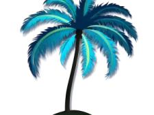 a palm tree on a white background