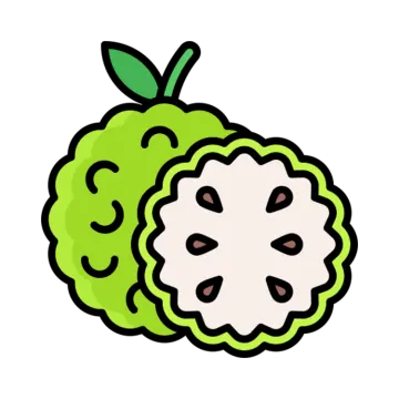 an illustration of a green and white fruit