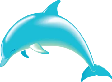 a dolphin jumping out of the water