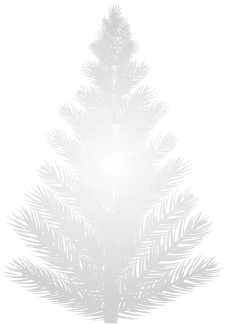 a christmas tree on a white background