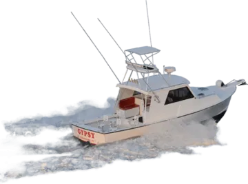 the boat is white