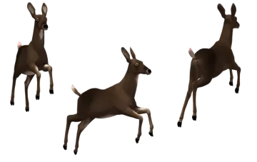 a group of deers standing next to each other