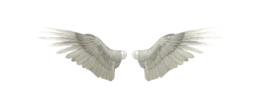 a pair of white wings on a white background