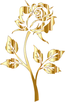 a gold rose on a white background