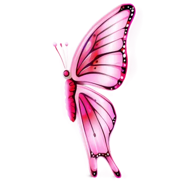 a pink butterfly on a white background