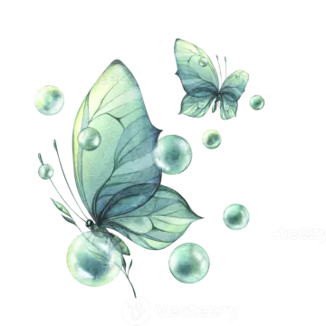 a watercolor painting of a butterfly and bubbles
