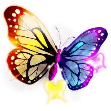 a colorful butterfly on a white background