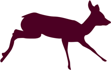 a deer silhouetted on a white background