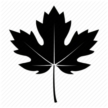 a black and white maple leaf