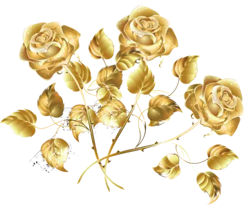 a bunch of golden roses on a white background