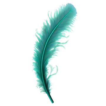 a green feather on a white background