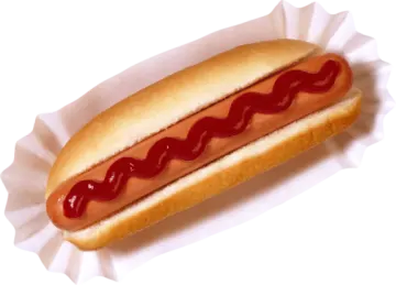 a hot dog on a white background