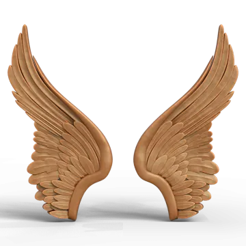 a pair of wooden angel wings
