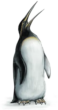 an illustration of a penguin with its beak open