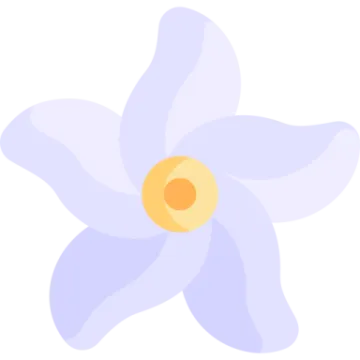 a white flower with a yellow center