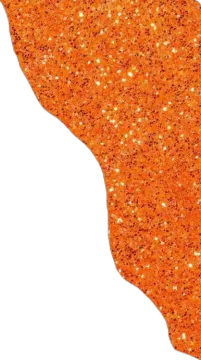 the state of texas in orange glitter