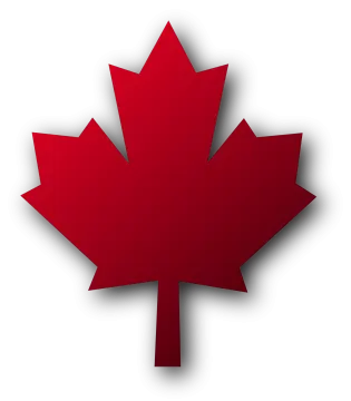 a red maple leaf on a white background