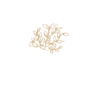 a drawing of a branch with leaves