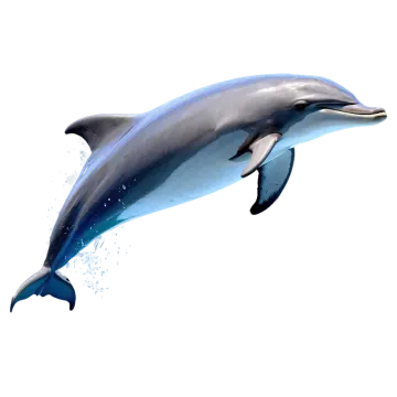 a dolphin jumping in the air on a white background