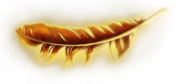 a golden feather on a white background