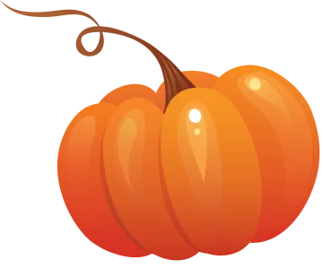 a pumpkin on a white background