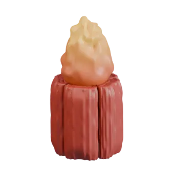 a small red object on a white background
