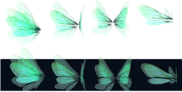 a set of four butterflies with different wings