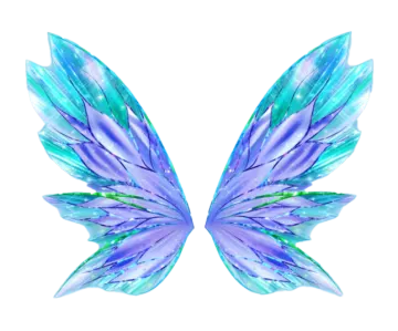 a pair of wings on a white background